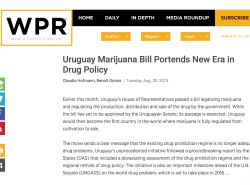 screen-shot-2017-01-29-at-12-08-10